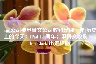 sun公司被甲骨文公司收购是哪一年(历史上的今天：iPad 12 周年；甲骨文收购 Sun；Jim Clark 出走硅图)