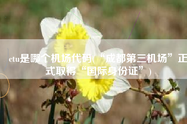 ctu是哪个机场代码(“成都第三机场”正式取得“国际身份证”)