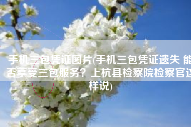 手机三包凭证图片(手机三包凭证遗失 能否享受三包服务？上杭县检察院检察官这样说)