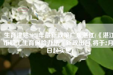 生育津贴2020年最新政策广东湛江(《湛江市职工生育保险办法》新政出台 将于2月1日起实施)