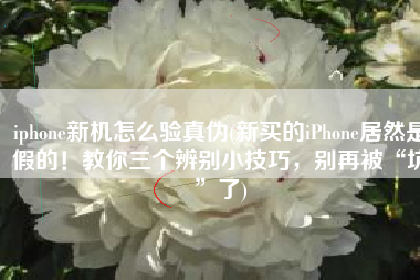 iphone新机怎么验真伪(新买的iPhone居然是假的！教你三个辨别小技巧，别再被“坑”了)