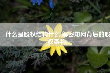什么是股权结构什么(解密知网背后的股权架构)