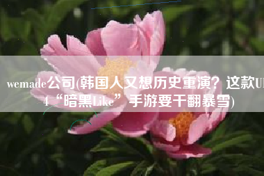 wemade公司(韩国人又想历史重演？这款UE4“暗黑Like”手游要干翻暴雪)