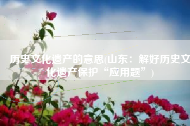 历史文化遗产的意思(山东：解好历史文化遗产保护“应用题”)