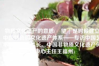 物质文化遗产的意思(瞭望 | 是时候建立中国特色的文化遗产体系——专访中国艺术研究院副院长、中国非物质文化遗产保护中心主任王福州)