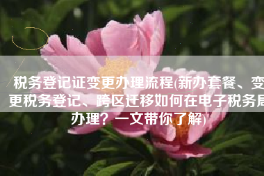 税务登记证变更办理流程(新办套餐、变更税务登记、跨区迁移如何在电子税务局办理？一文带你了解)