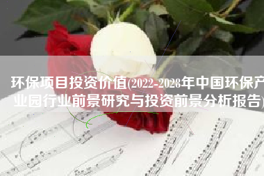 环保项目投资价值(2022-2028年中国环保产业园行业前景研究与投资前景分析报告)