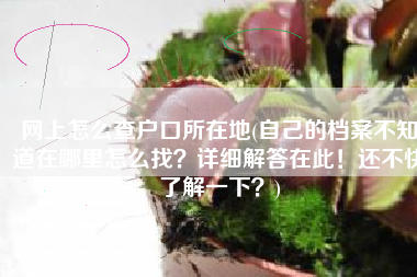 网上怎么查户口所在地(自己的档案不知道在哪里怎么找？详细解答在此！还不快了解一下？)
