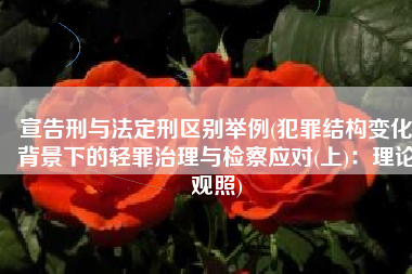 宣告刑与法定刑区别举例(犯罪结构变化背景下的轻罪治理与检察应对(上)：理论观照)