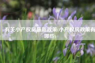 有关小产权房最新政策(小产权房政策有哪些)