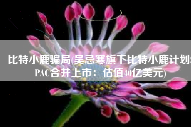 比特小鹿骗局(吴忌寒旗下比特小鹿计划SPAC合并上市：估值40亿美元)