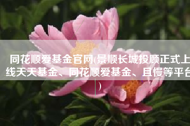 同花顺爱基金官网(景顺长城投顾正式上线天天基金、同花顺爱基金、且慢等平台)