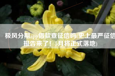 极风分期app借款查征信吗(史上最严征信报告来了！5月将正式落地)