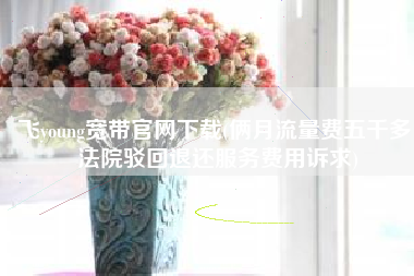 飞young宽带官网下载(俩月流量费五千多 法院驳回退还服务费用诉求)