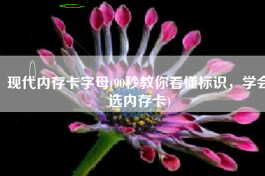 现代内存卡字母(90秒教你看懂标识，学会选内存卡)