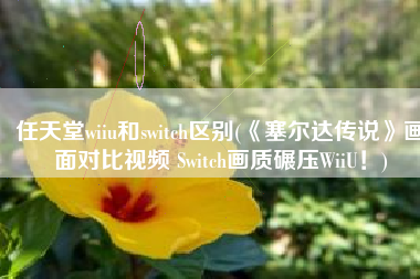 任天堂wiiu和switch区别(《塞尔达传说》画面对比视频 Switch画质碾压WiiU！)