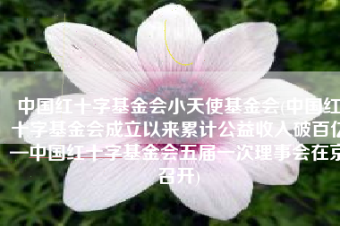 中国红十字基金会小天使基金会(中国红十字基金会成立以来累计公益收入破百亿—中国红十字基金会五届一次理事会在京召开)