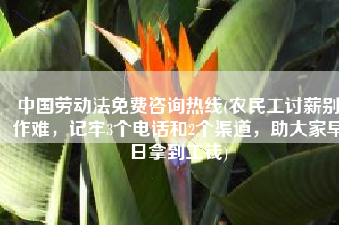 中国劳动法免费咨询热线(农民工讨薪别作难，记牢3个电话和2个渠道，助大家早日拿到工钱)