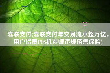 嘉联支付(嘉联支付年交易流水超万亿，用户指责POS机涉嫌违规搭售保险)