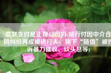 嘉联支付是正规公司吗(随行付因中介合同纠纷再成被执行人，旗下“随借”被投诉暴力催收、砍头息等)