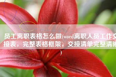 员工离职表格怎么做(word离职人员工作交接表，完整表格框架，交接清单完整清晰)