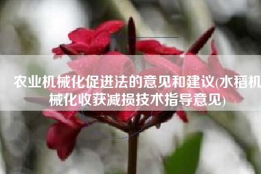 农业机械化促进法的意见和建议(水稻机械化收获减损技术指导意见)