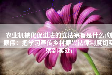 农业机械化促进法的立法宗旨是什么(刘振伟：把学习宣传乡村振兴法律制度切实落到实处)