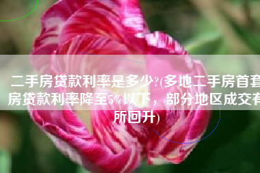 二手房贷款利率是多少?(多地二手房首套房贷款利率降至5%以下，部分地区成交有所回升)