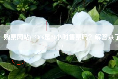 购票网站(12306是24小时售票吗？解答来了)