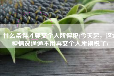 什么条件才要交个人所得税(今天起，这33种情况通通不用再交个人所得税了)