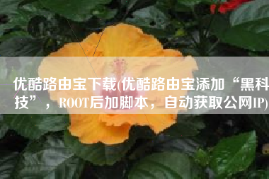 优酷路由宝下载(优酷路由宝添加“黑科技”，ROOT后加脚本，自动获取公网IP)