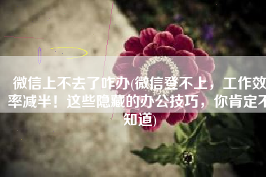 微信上不去了咋办(微信登不上，工作效率减半！这些隐藏的办公技巧，你肯定不知道)