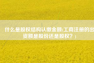 什么是股权结构认缴金额(工商注册的出资额是股份还是股权？)
