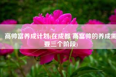 高帅富养成计划(在成都 高富帅的养成需要三个阶段)