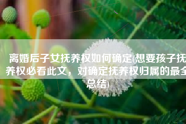 离婚后子女抚养权如何确定(想要孩子抚养权必看此文，对确定抚养权归属的最全总结)