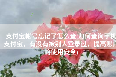 支付宝帐号忘记了怎么查(如何查询手机支付宝，有没有被别人登录过，提高账户的使用安全)