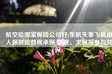 航空险哪家保险公司好(东航失事飞机由人保财险首席承保 平安、太保等参与共保)