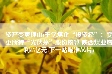 资产变更理由(千亿煤企“投资经”：变更所持“光伏茅”股份核算 陕西煤业增利65亿元 下一站瞄准芯片)