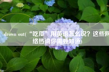 drown out(“吃瓜”用英语怎么说？这些网络热词你需要知道)