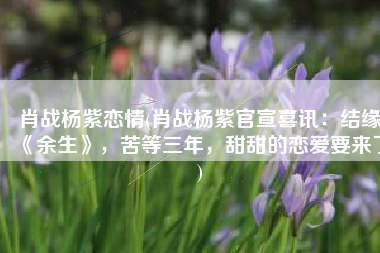 肖战杨紫恋情(肖战杨紫官宣喜讯：结缘《余生》，苦等三年，甜甜的恋爱要来了)