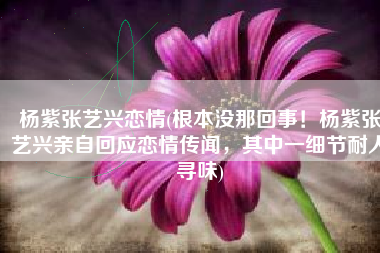 杨紫张艺兴恋情(根本没那回事！杨紫张艺兴亲自回应恋情传闻，其中一细节耐人寻味)