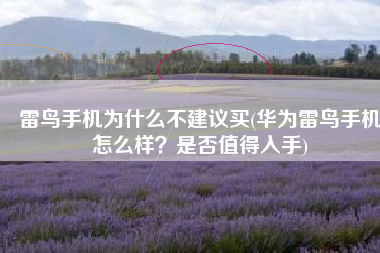雷鸟手机为什么不建议买(华为雷鸟手机怎么样？是否值得入手)