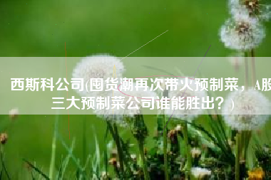 西斯科公司(囤货潮再次带火预制菜，A股三大预制菜公司谁能胜出？)