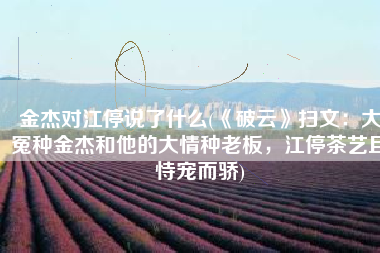 金杰对江停说了什么(《破云》扫文：大冤种金杰和他的大情种老板，江停茶艺且恃宠而骄)