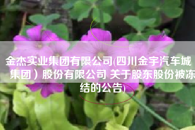 金杰实业集团有限公司(四川金宇汽车城（集团）股份有限公司 关于股东股份被冻结的公告)