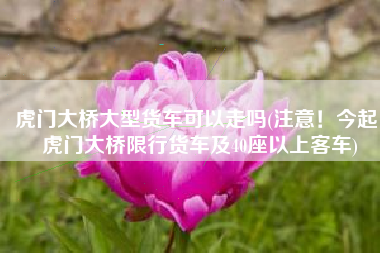 虎门大桥大型货车可以走吗(注意！今起，虎门大桥限行货车及40座以上客车)
