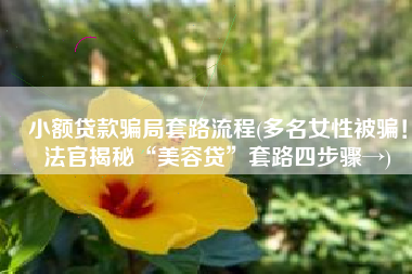 小额贷款骗局套路流程(多名女性被骗！法官揭秘“美容贷”套路四步骤→)