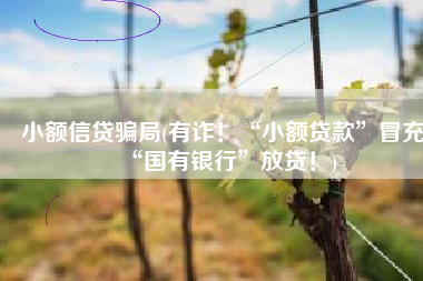 小额信贷骗局(有诈！“小额贷款”冒充“国有银行”放贷！)