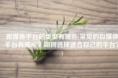 新媒体平台的类型有哪些(常见的自媒体平台有哪些？如何选择适合自己的平台？)