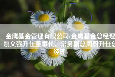 金鹰基金管理有限公司(金鹰基金总经理姚文强升任董事长，常务副总周蔚升任总经理)